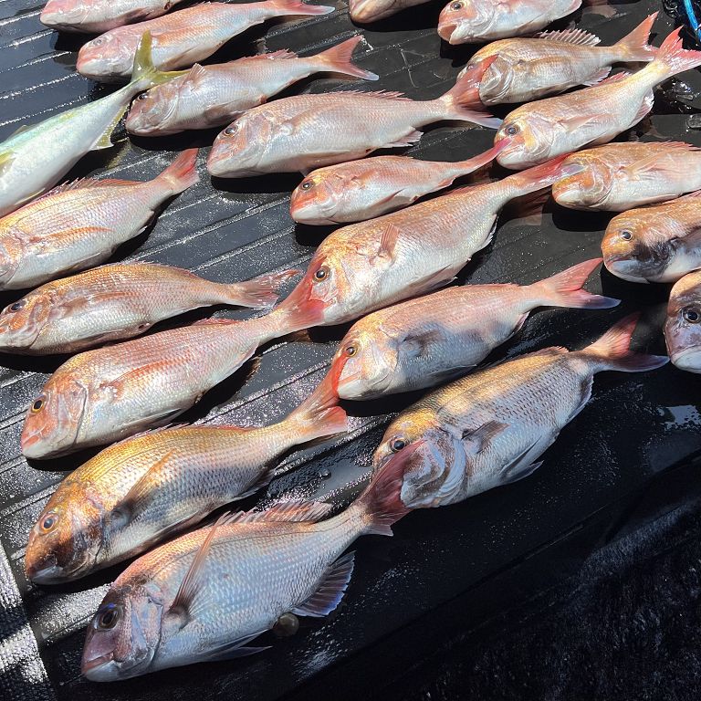 釣果・今週のベストショット!